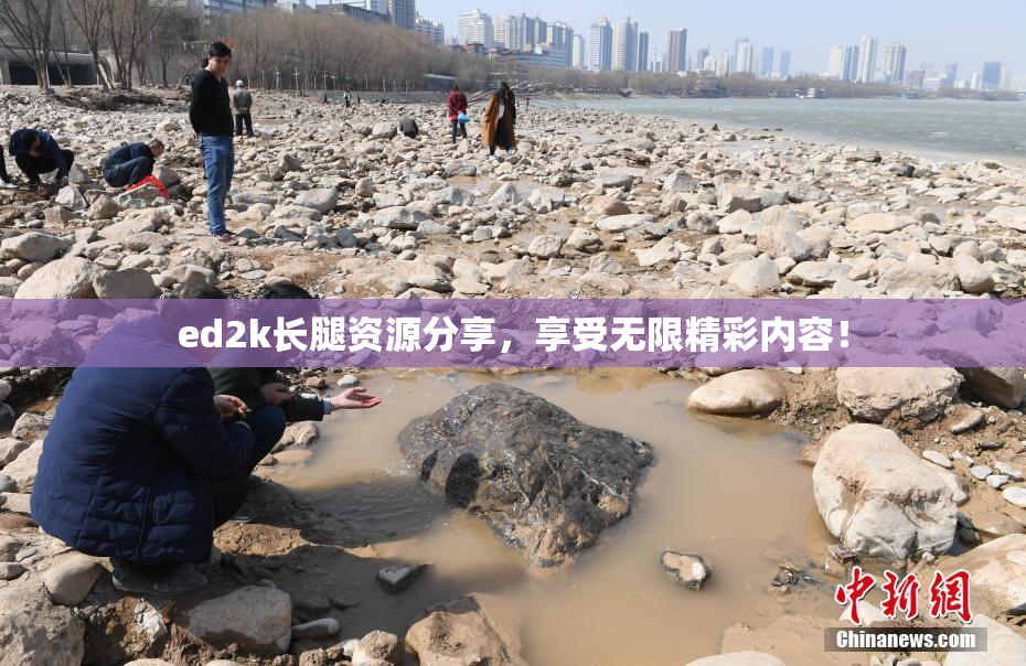 ed2k长腿资源分享，享受无限精彩内容！