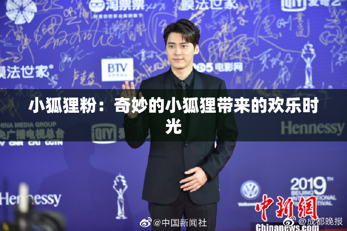 小狐狸粉：奇妙的小狐狸带来的欢乐时光