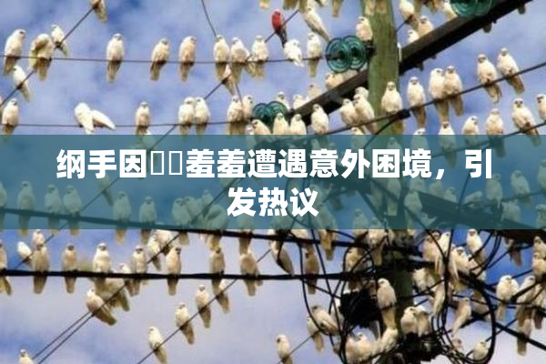纲手因❌‌羞羞遭遇意外困境，引发热议