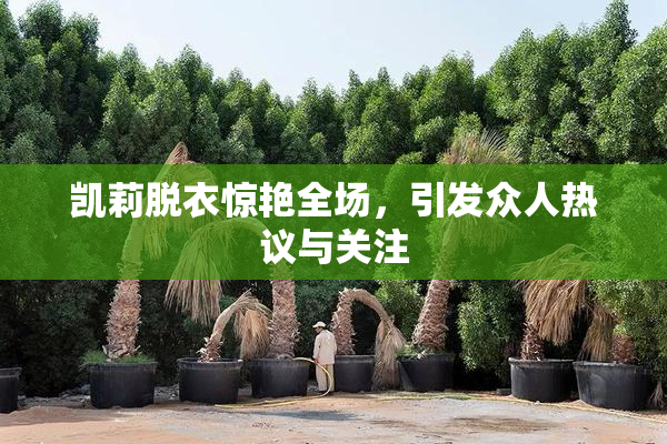 凯莉脱衣惊艳全场，引发众人热议与关注