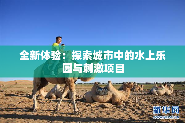 全新体验：探索城市中的水上乐园与刺激项目