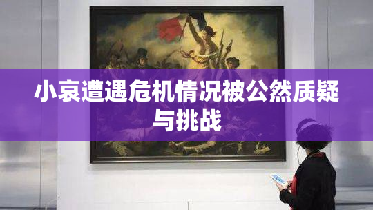 小哀遭遇危机情况被公然质疑与挑战