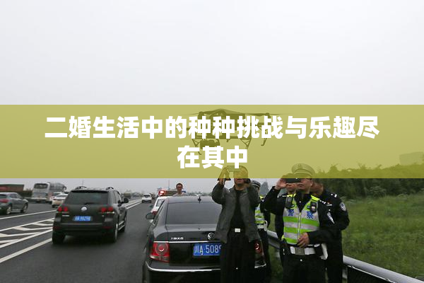二婚生活中的种种挑战与乐趣尽在其中