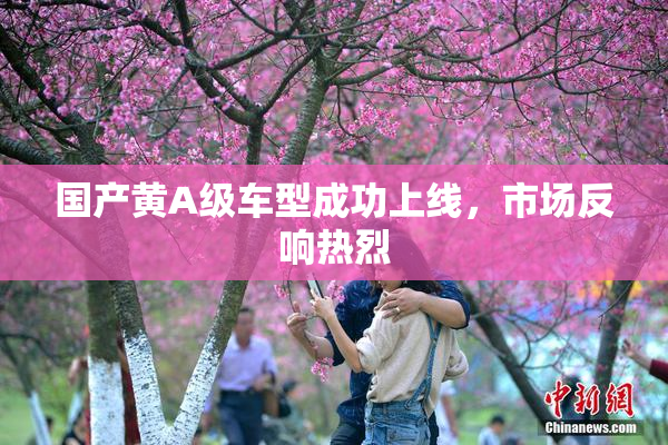 国产黄A级车型成功上线，市场反响热烈