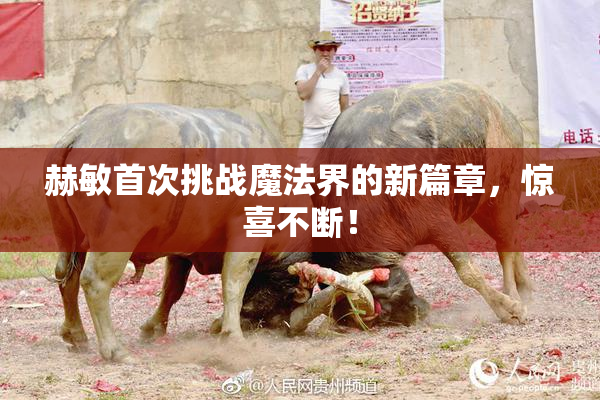 赫敏首次挑战魔法界的新篇章，惊喜不断！