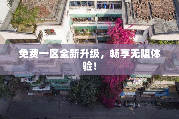 免费一区全新升级，畅享无阻体验！