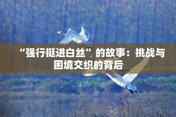 “强行挺进白丝”的故事：挑战与困境交织的背后