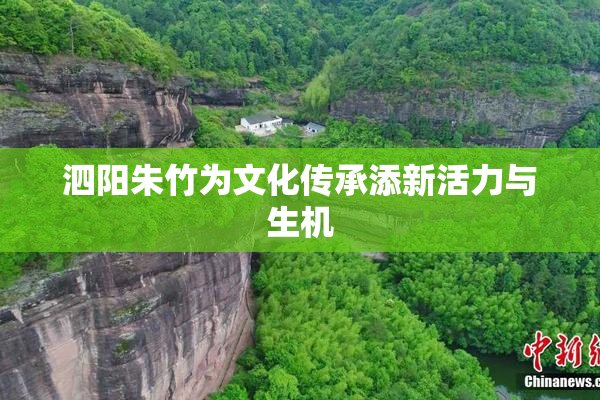 泗阳朱竹为文化传承添新活力与生机