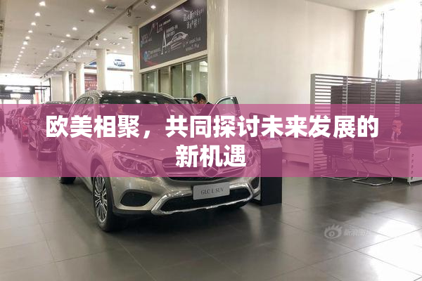 欧美相聚，共同探讨未来发展的新机遇