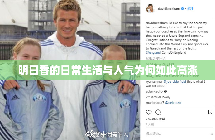 明日香的日常生活与人气为何如此高涨