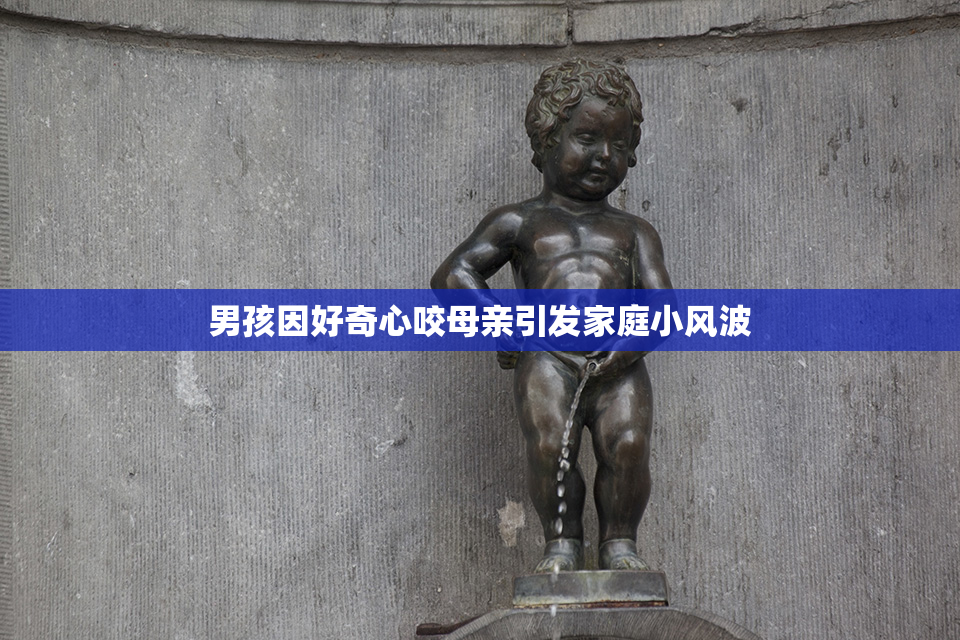 男孩因好奇心咬母亲引发家庭小风波