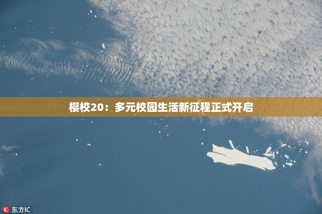 樱校20：多元校园生活新征程正式开启