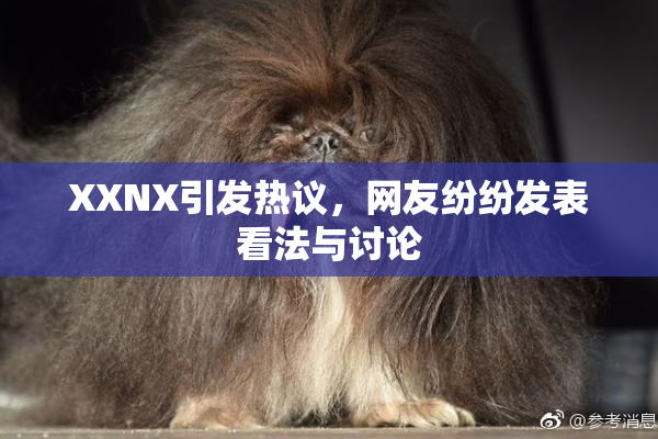 XXNX引发热议，网友纷纷发表看法与讨论