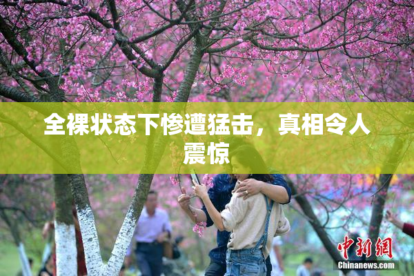 全裸状态下惨遭猛击，真相令人震惊