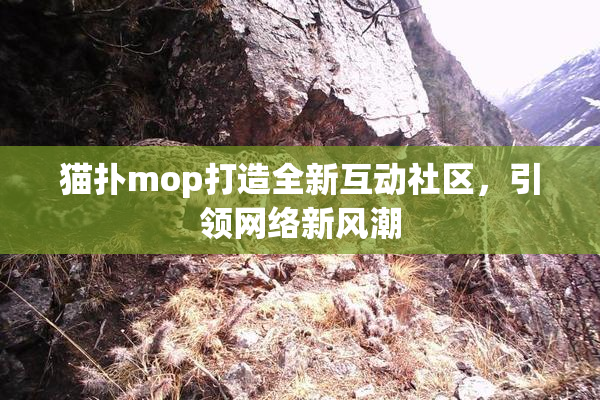 猫扑mop打造全新互动社区，引领网络新风潮