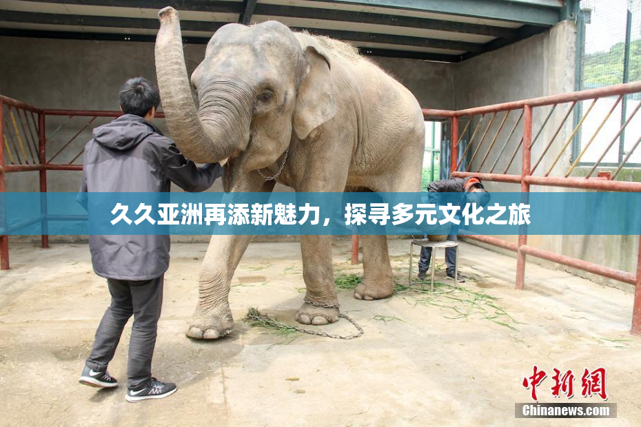 久久亚洲再添新魅力，探寻多元文化之旅
