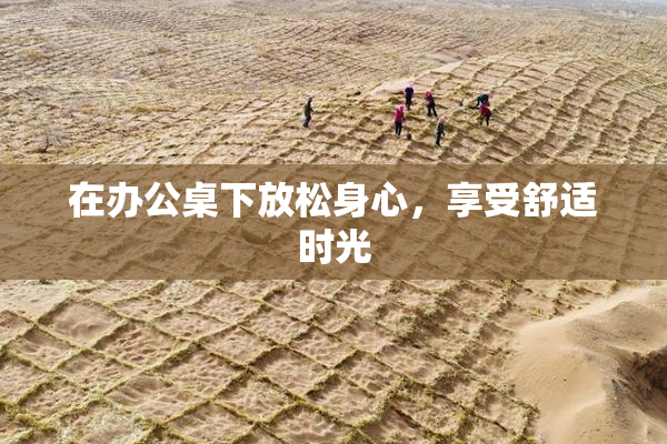 在办公桌下放松身心，享受舒适时光