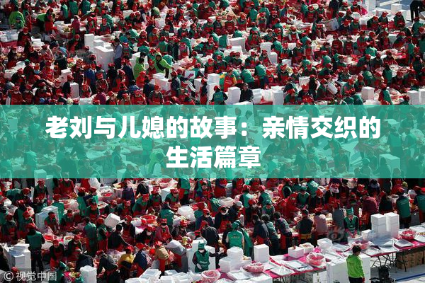 老刘与儿媳的故事：亲情交织的生活篇章