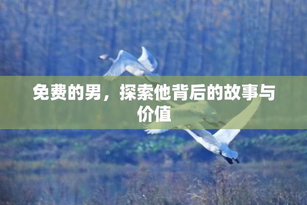 免费的男，探索他背后的故事与价值