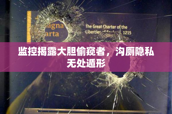 监控揭露大胆偷窥者，沟厕隐私无处遁形