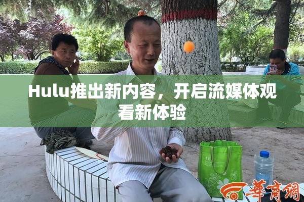 Hulu推出新内容，开启流媒体观看新体验