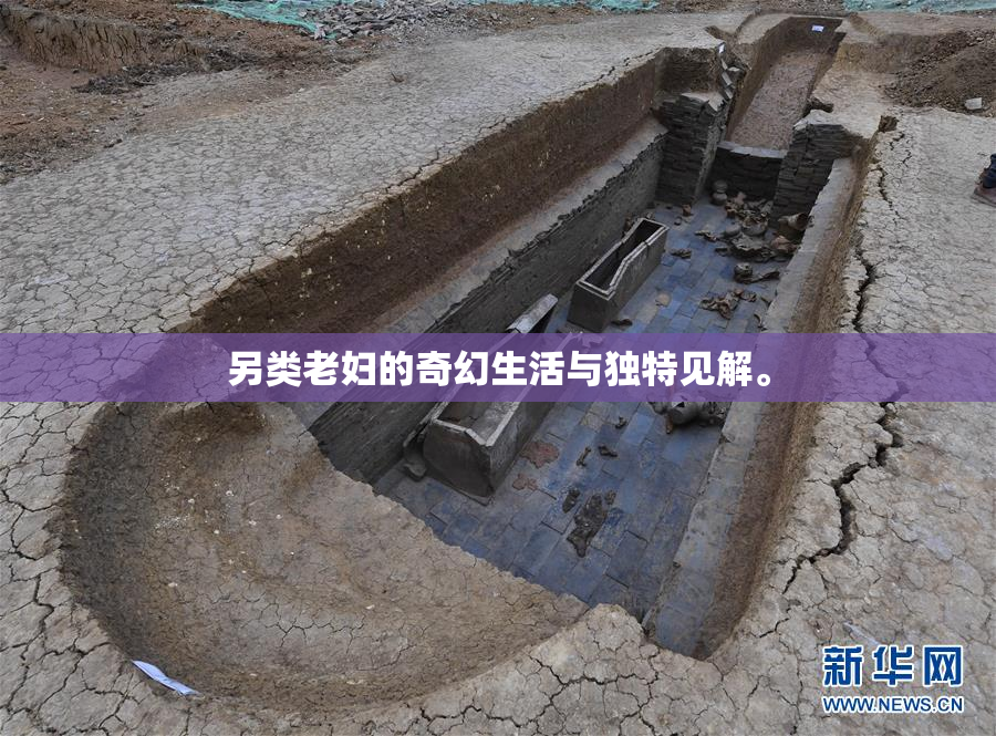 另类老妇的奇幻生活与独特见解。