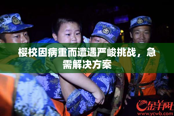樱校因病重而遭遇严峻挑战，急需解决方案