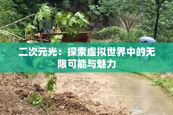 二次元光：探索虚拟世界中的无限可能与魅力
