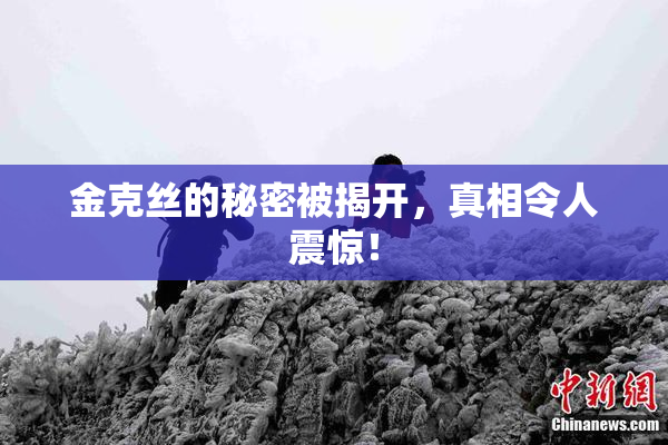 金克丝的秘密被揭开，真相令人震惊！