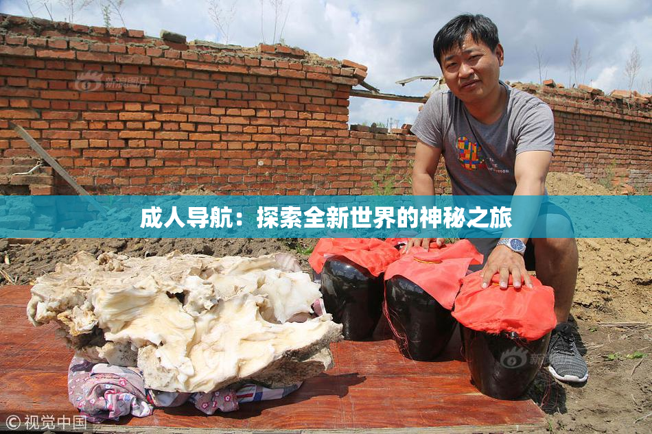 成人导航：探索全新世界的神秘之旅