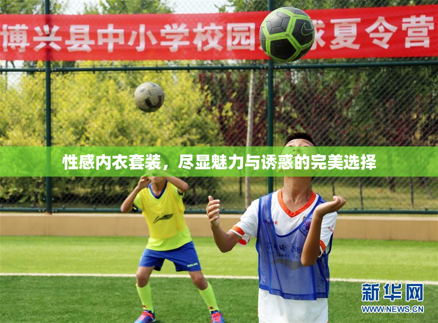 性感内衣套装，尽显魅力与诱惑的完美选择