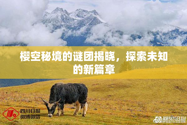 樱空秘境的谜团揭晓，探索未知的新篇章