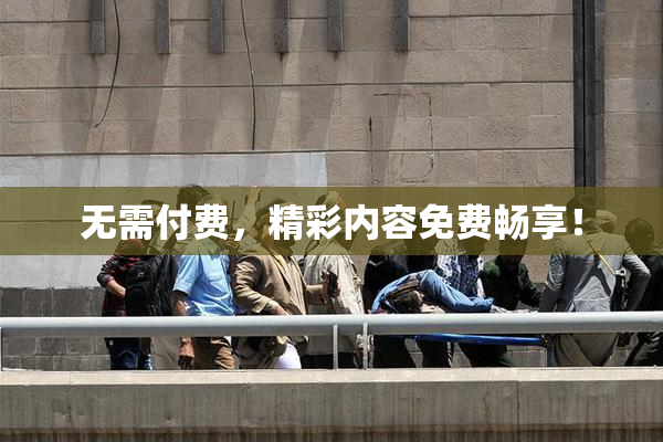 无需付费，精彩内容免费畅享！