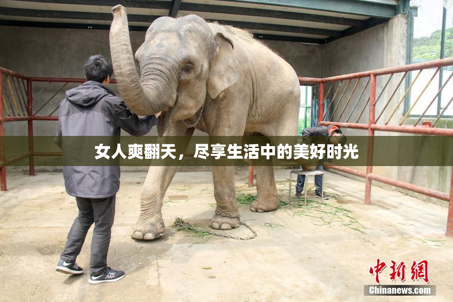 女人爽翻天，尽享生活中的美好时光