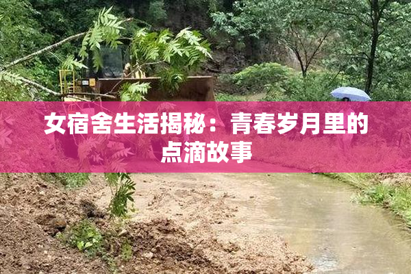 女宿舍生活揭秘：青春岁月里的点滴故事