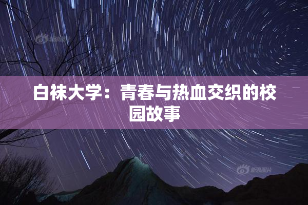 白袜大学：青春与热血交织的校园故事