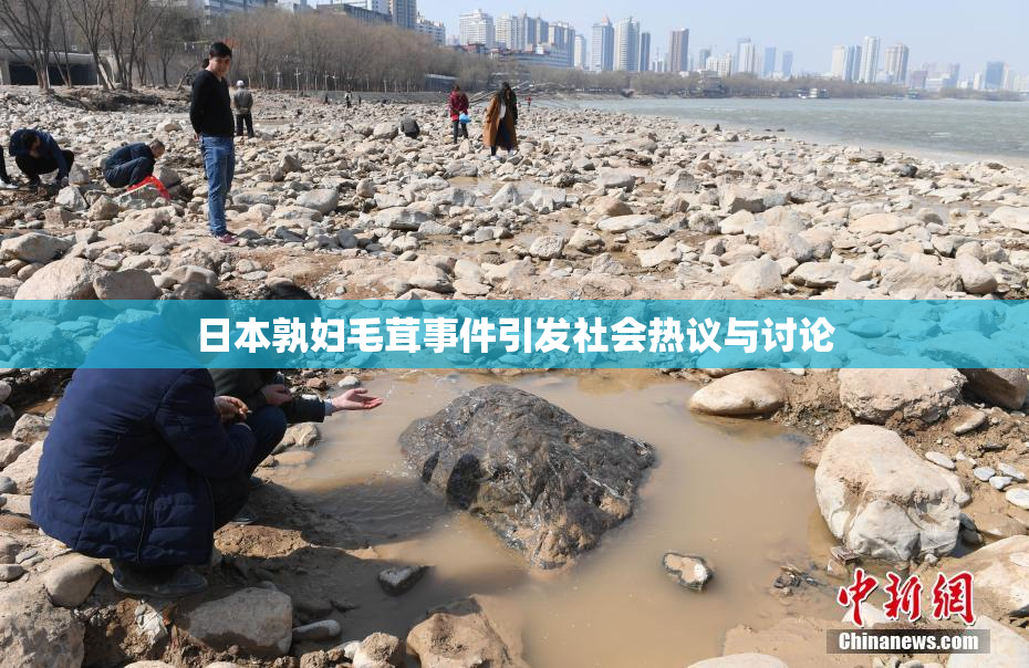 日本孰妇毛茸事件引发社会热议与讨论