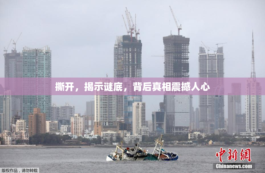 撕开，揭示谜底，背后真相震撼人心