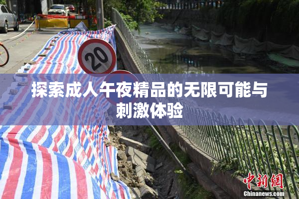 探索成人午夜精品的无限可能与刺激体验