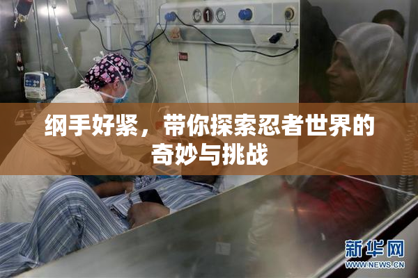 纲手好紧，带你探索忍者世界的奇妙与挑战