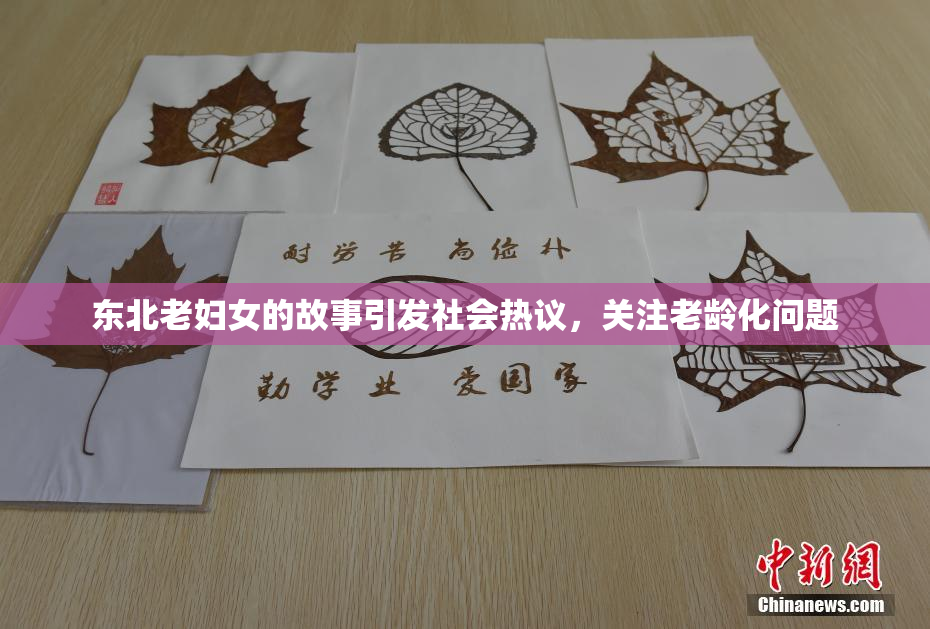 东北老妇女的故事引发社会热议，关注老龄化问题