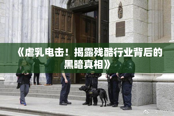 《虐乳电击！揭露残酷行业背后的黑暗真相》