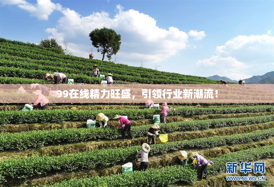 99在线精力旺盛，引领行业新潮流！