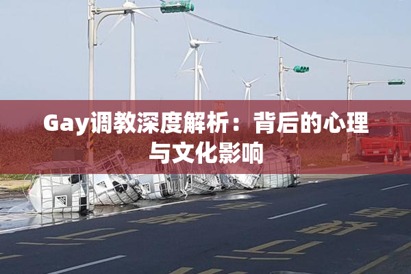 Gay调教深度解析：背后的心理与文化影响