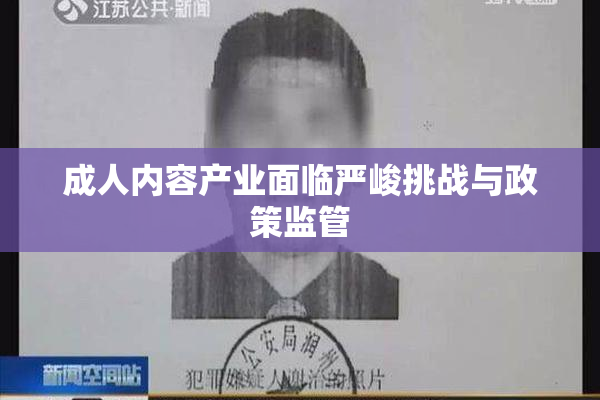 成人内容产业面临严峻挑战与政策监管