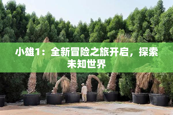 小雄1：全新冒险之旅开启，探索未知世界