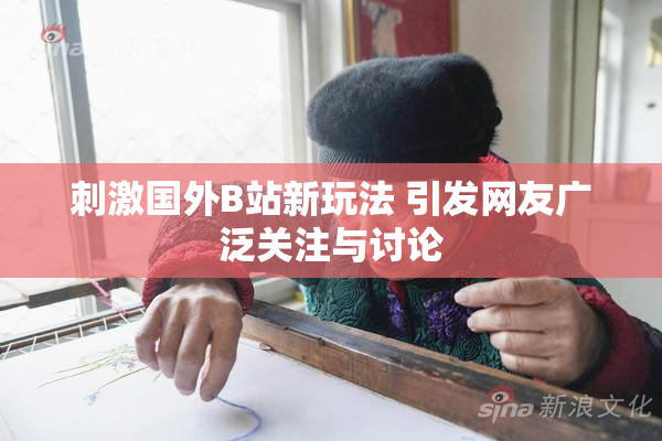 刺激国外B站新玩法 引发网友广泛关注与讨论