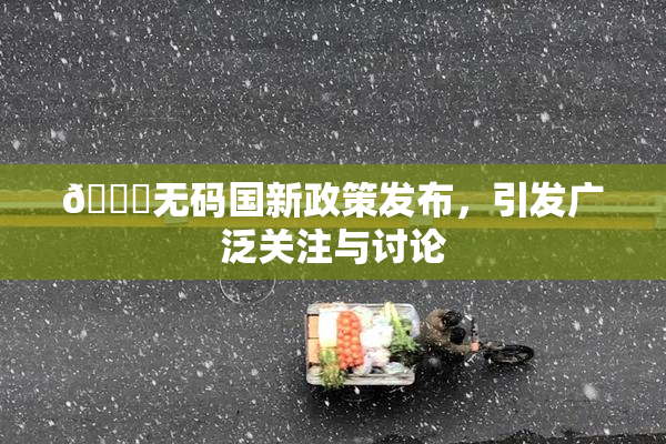 🔞无码国新政策发布，引发广泛关注与讨论