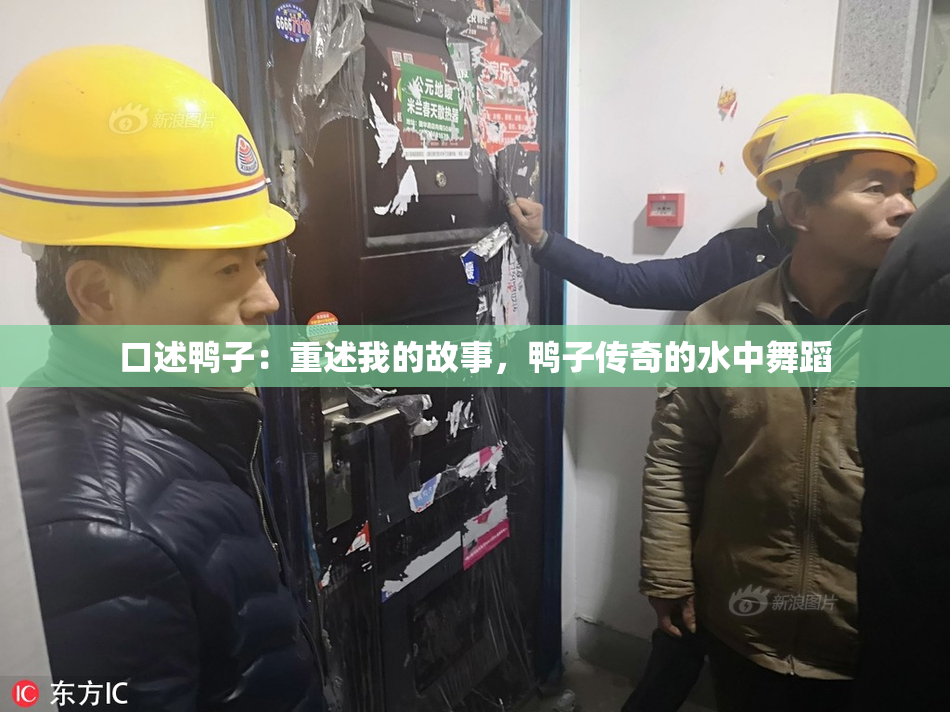 口述鸭子：重述我的故事，鸭子传奇的水中舞蹈