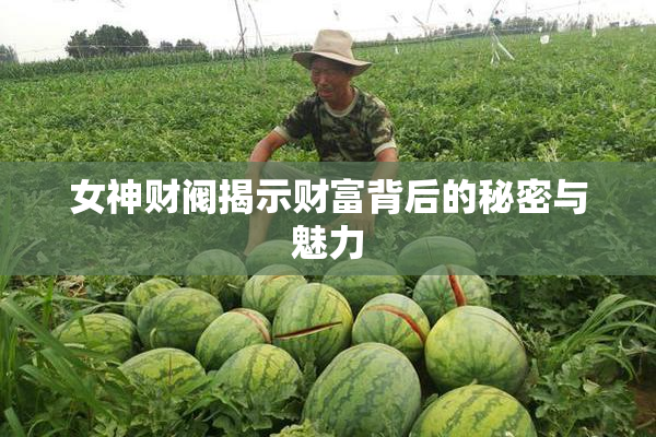 女神财阀揭示财富背后的秘密与魅力